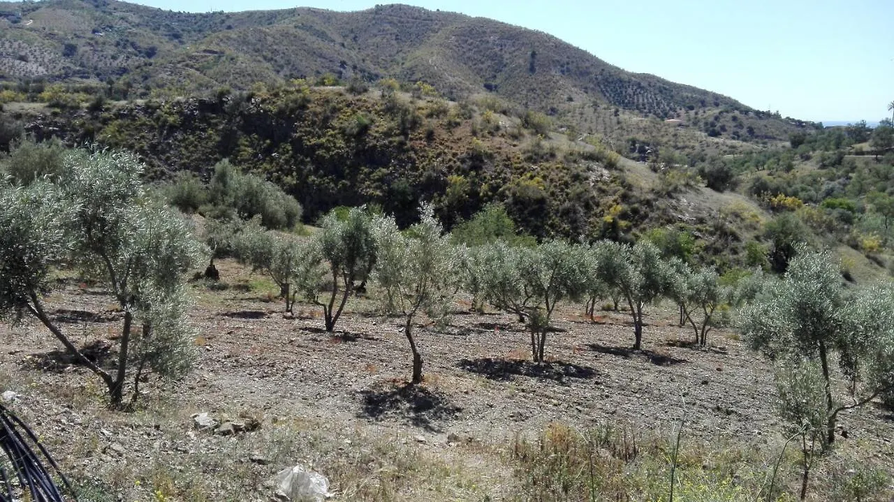 Cortijo Rural Los Gonzalez 린콘데라빅토리아 스페인