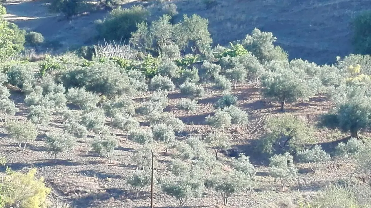 Gerendaház Cortijo Rural Los Gonzalez Rincón de la Victoria Spanyolország